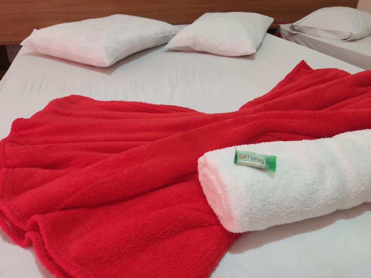 Hotel Sao Luiz Aparecida  Εξωτερικό φωτογραφία
